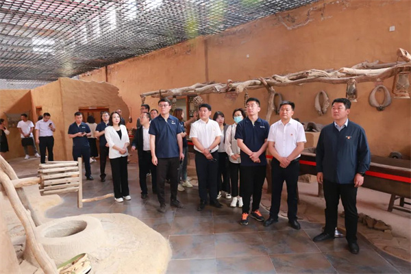 1686619486172170.jpg 11.jpg