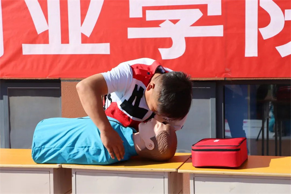 1695722359236459.jpg 5.jpg