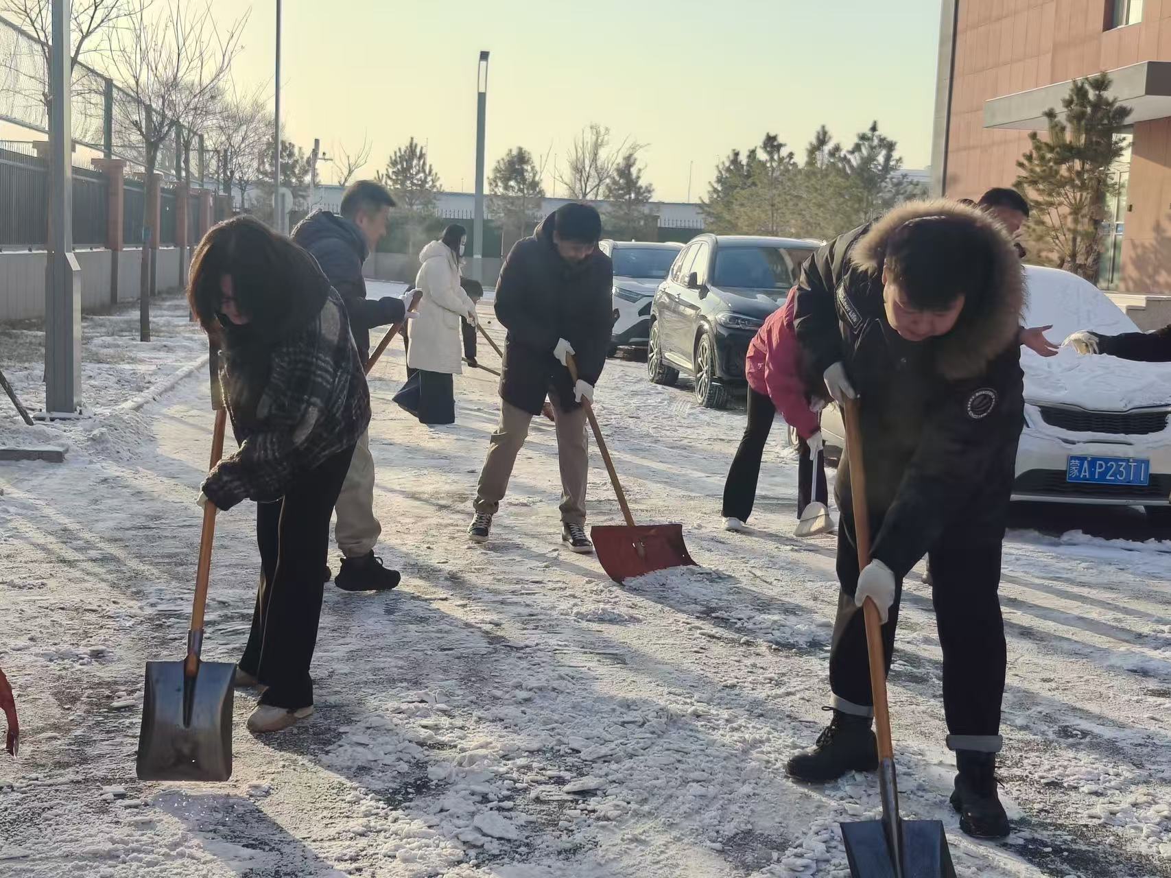 1765856335165629.jpg 1765856335165629.jpg