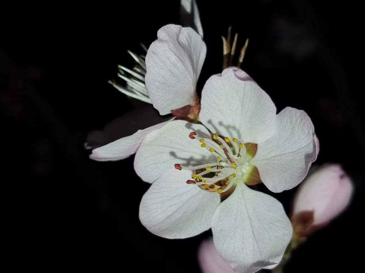 1766392894700428.png 1766392894700428.png