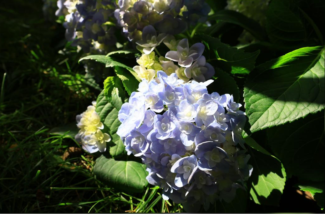 1766393007307978.png 1766393007307978.png