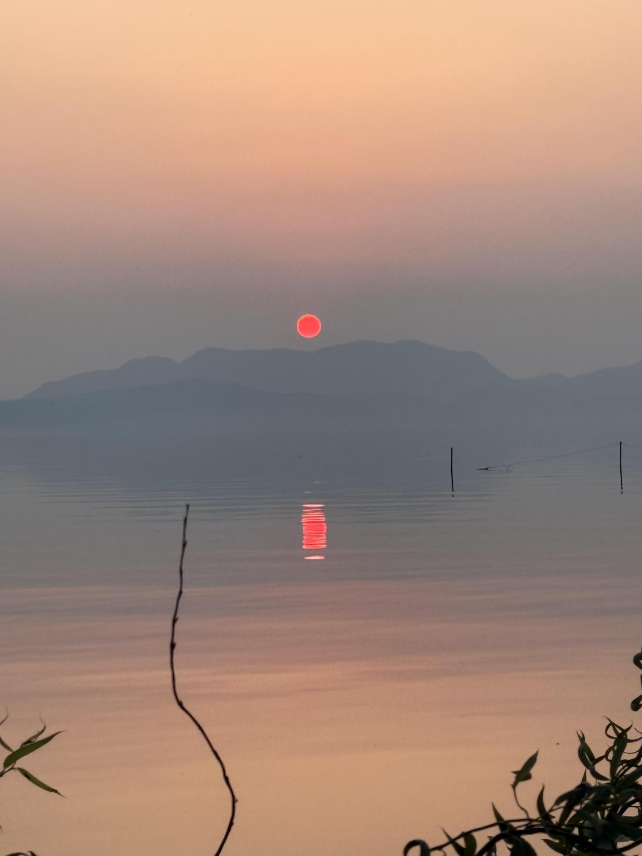 1766393100526321.png 1766393100526321.png