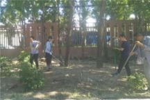 米乐官网机关党总支组织党员参加义务劳动