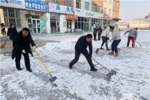 米乐官网机关党总支开展“扫雪除冰”主题党日活动